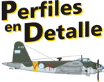 Javo Ruberto - Perfiles en Detalle
